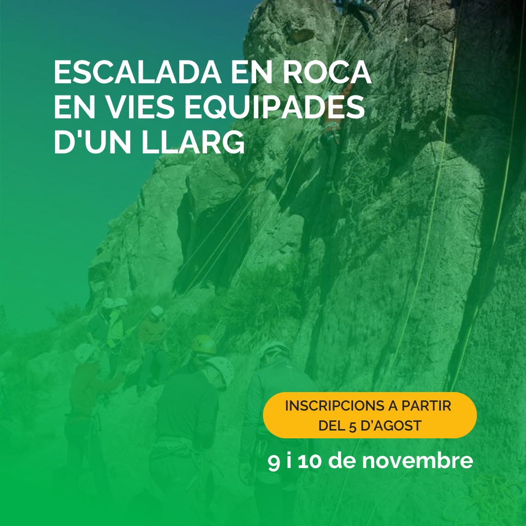  ESCALADA EN ROCA EN VÍAS EQUIPADAS DE UN LARGO