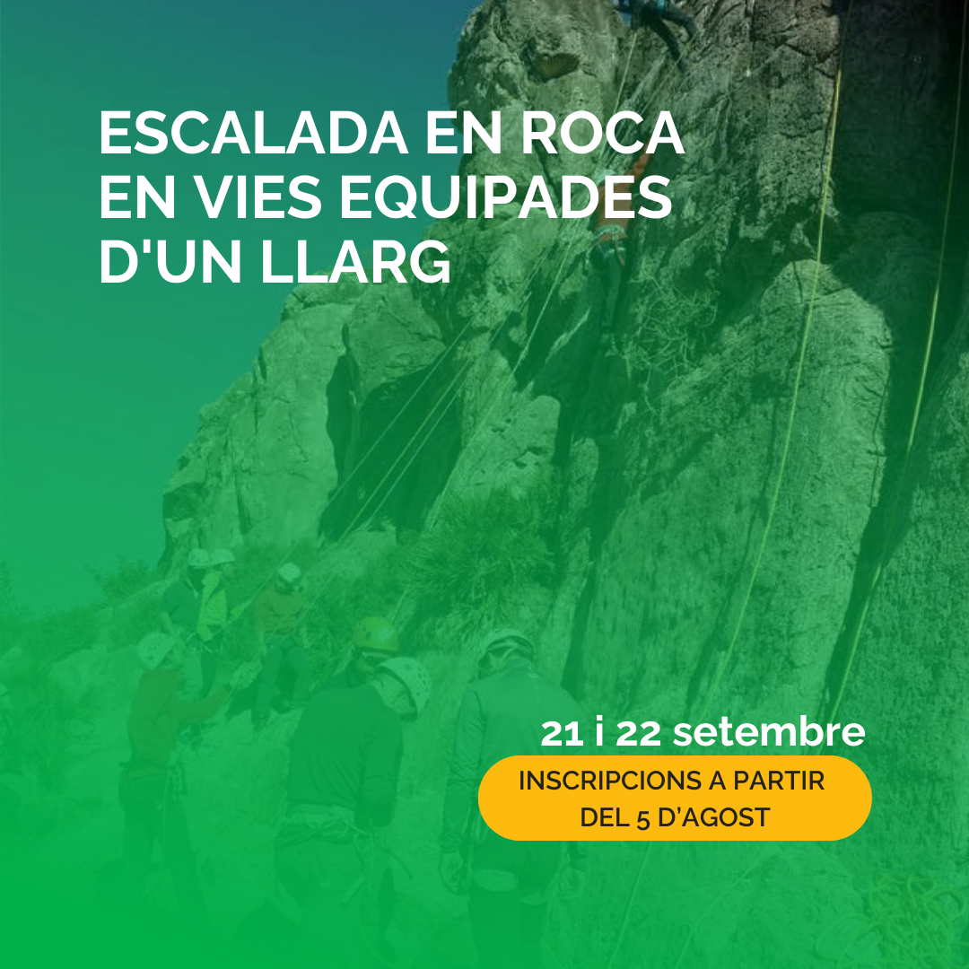 INICIACIÓN A LA ESCALADA EN ROCA EN VÍAS EQUIPADAS DE UN LARGO 2024