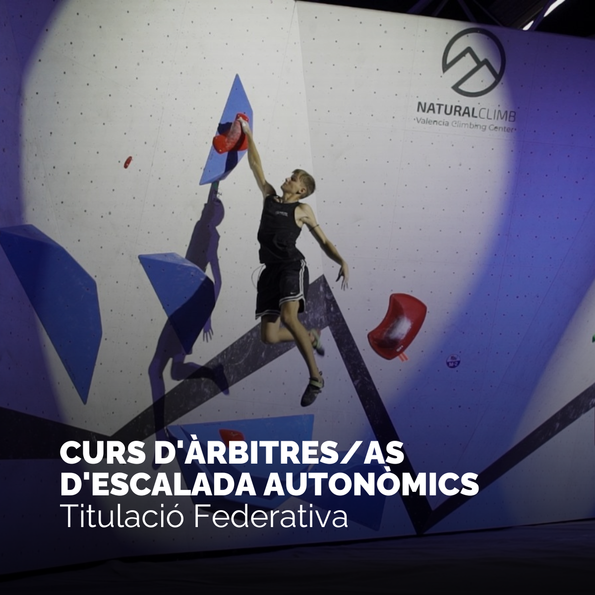 CURSO DE ÁRBITROS/AS DE ESCALADA AUTONÓMICOS 