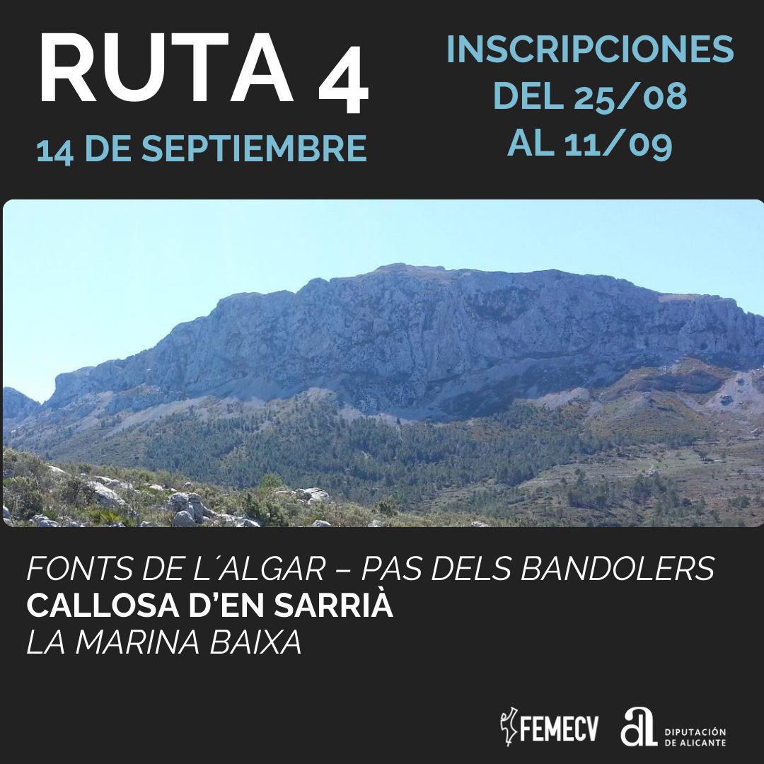 Ruta 4