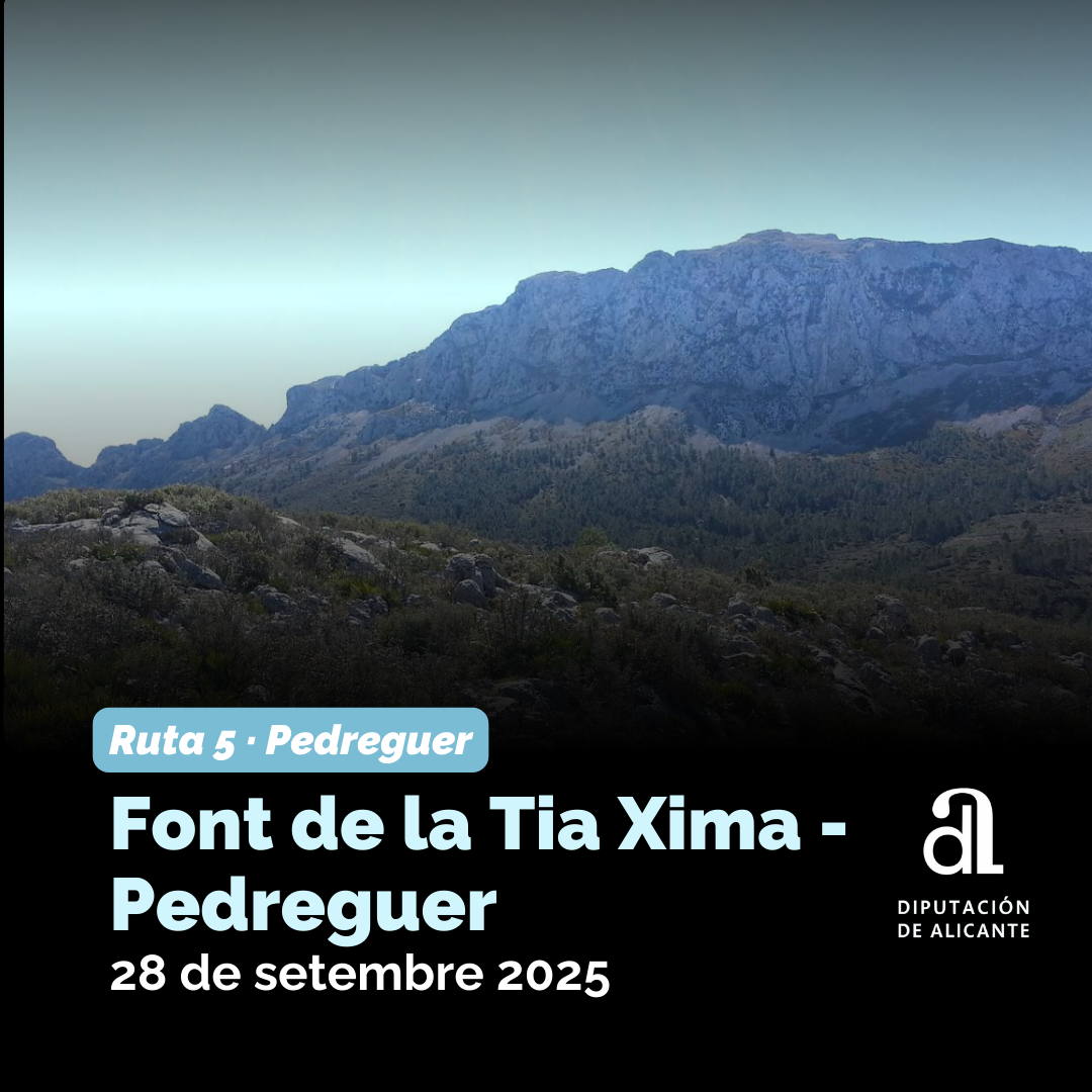 Ruta 5