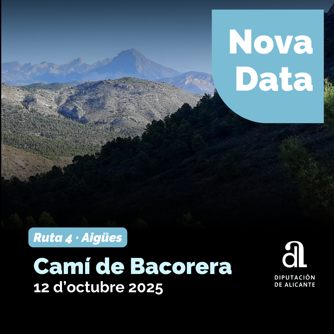 Nueva data