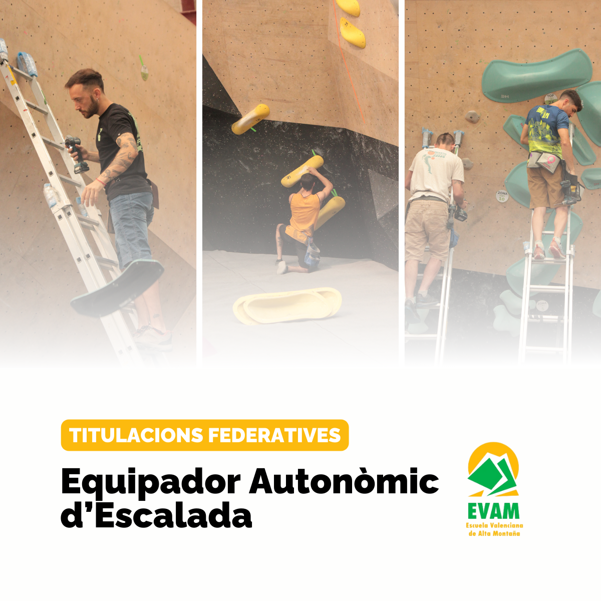 CURSO DE EQUIPADORES DE COMPETICIÓN DE ESCALADA AUTONÓMICO FEMECV