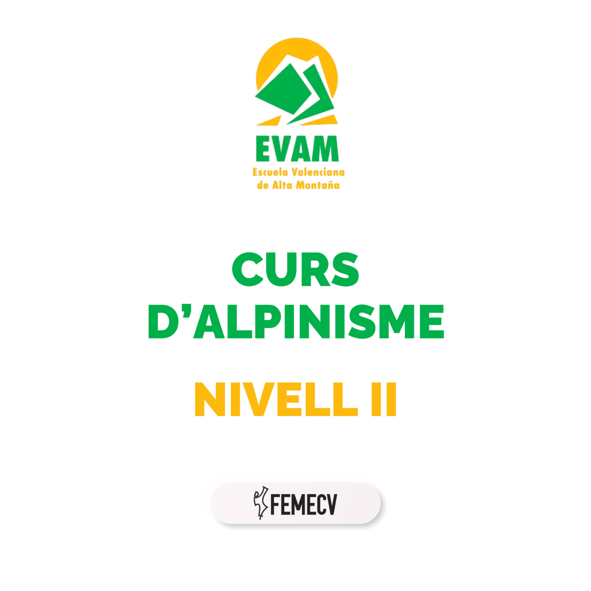 Curso de Alpinismo. Nivel II