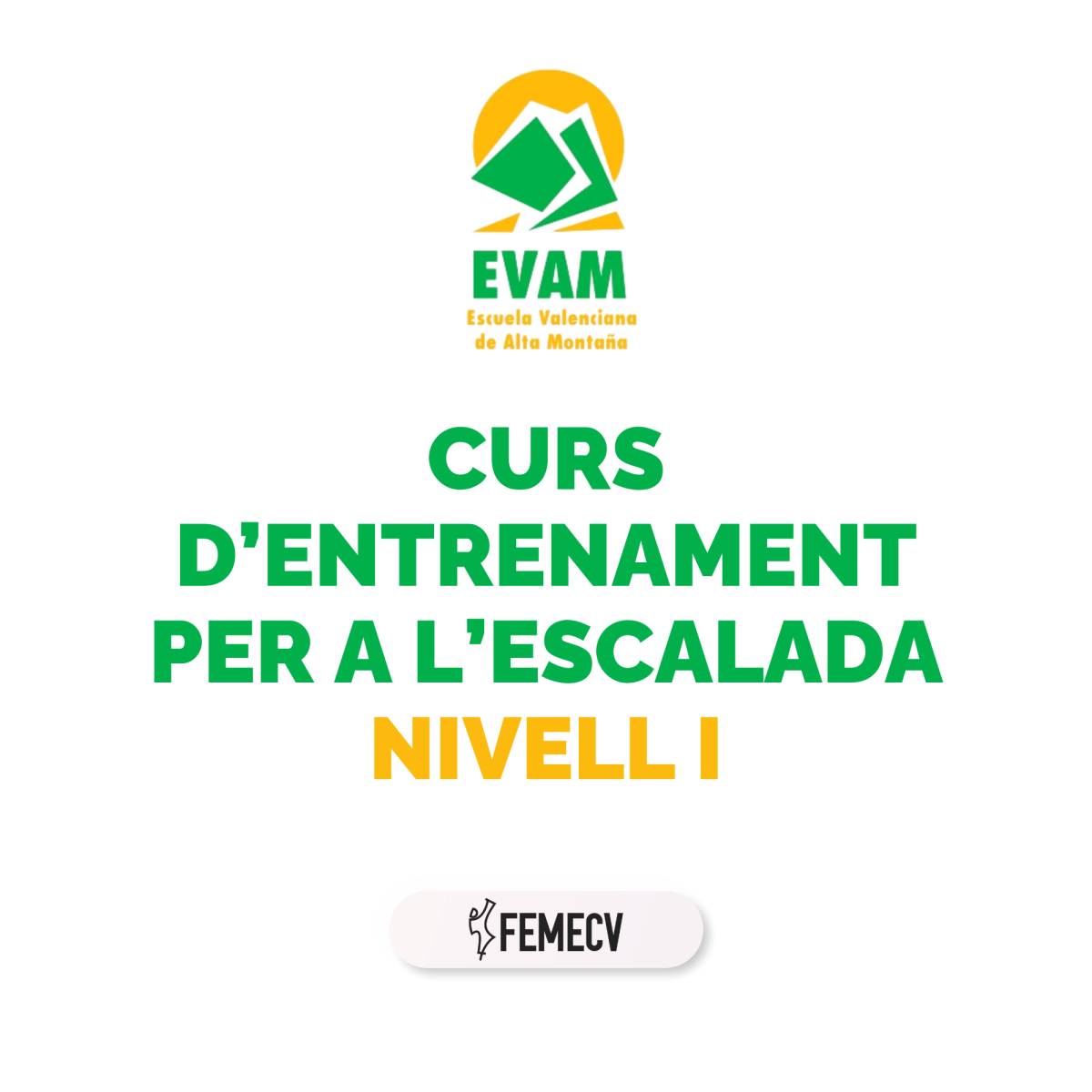 Curso de entrenamiento para la escalada. Nivel I