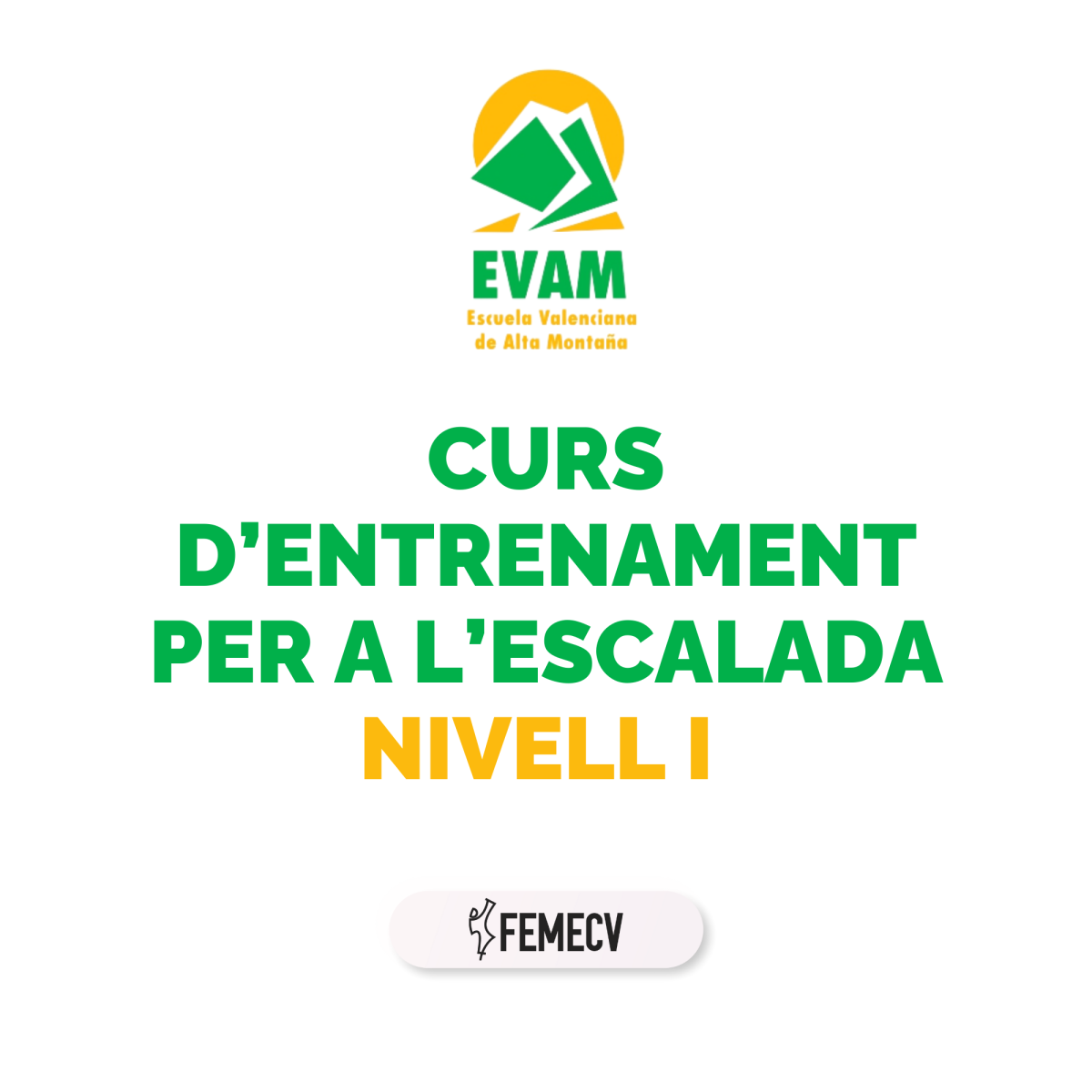 Curso de entrenamiento para la escalada. Nivel I