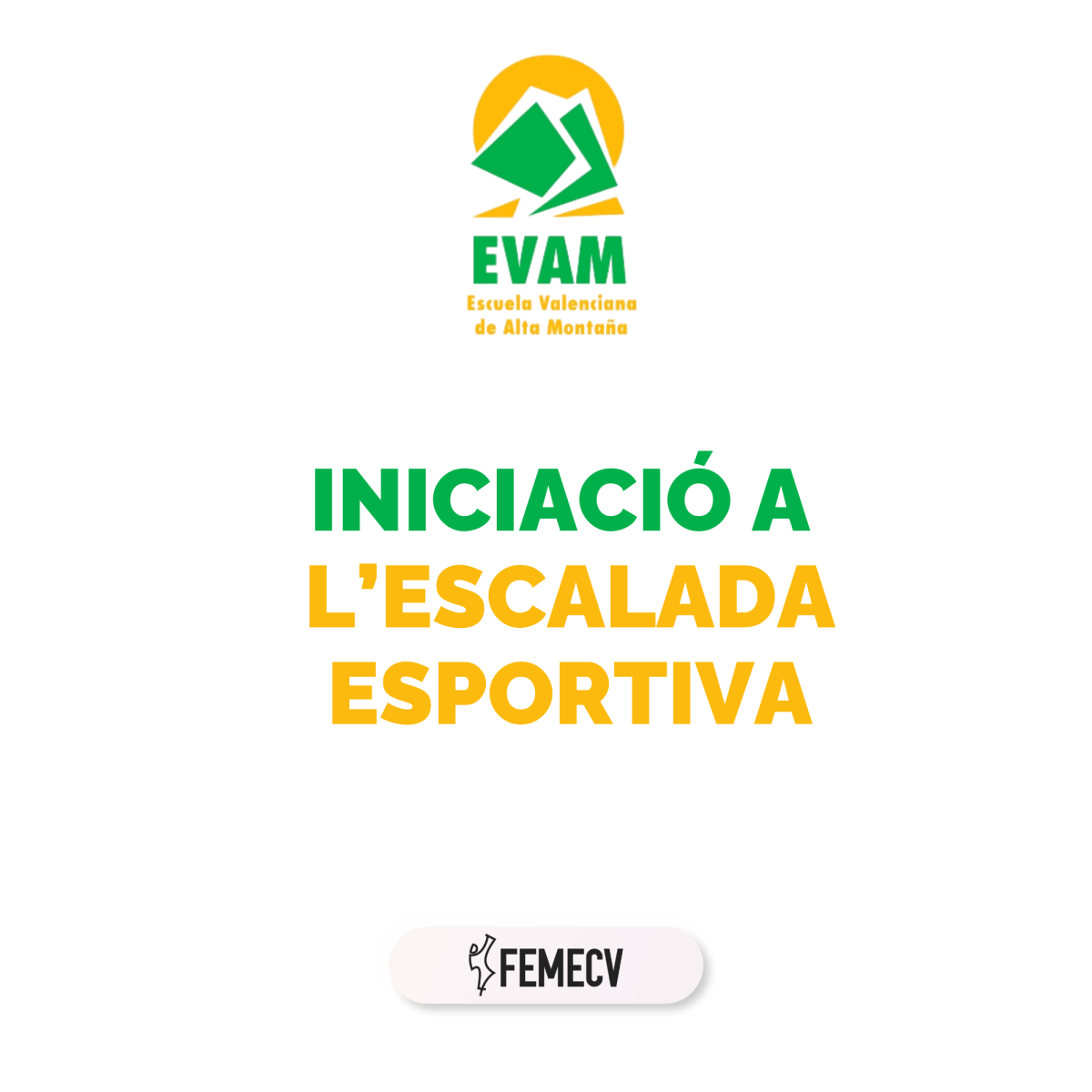 Iniciación a la escalada deportiva