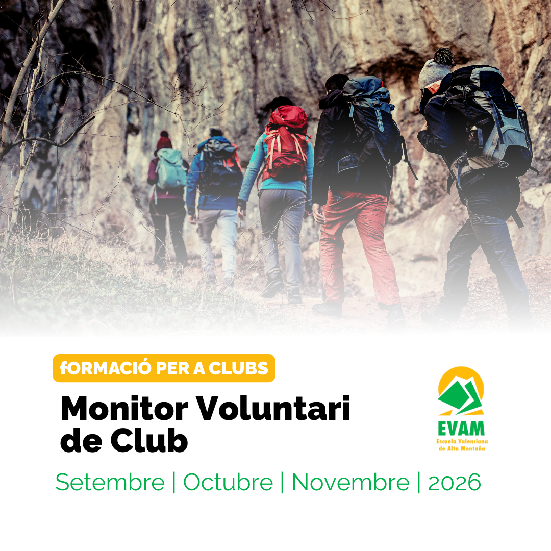 CURSO MONITOR/A VOLUNTARIO/A
