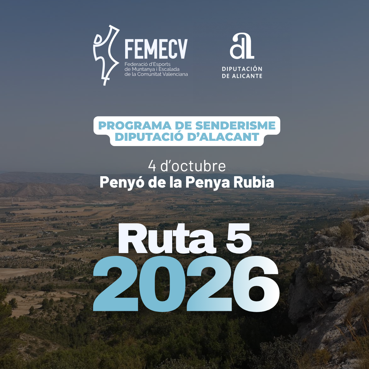 Ruta 5