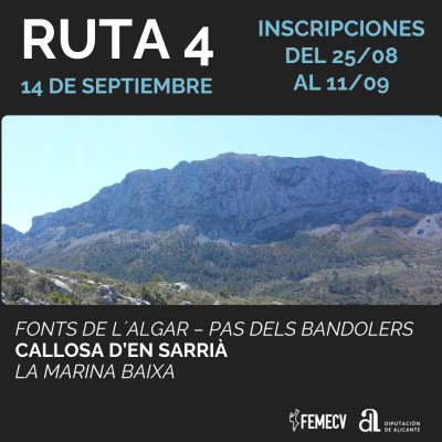 Ruta 4