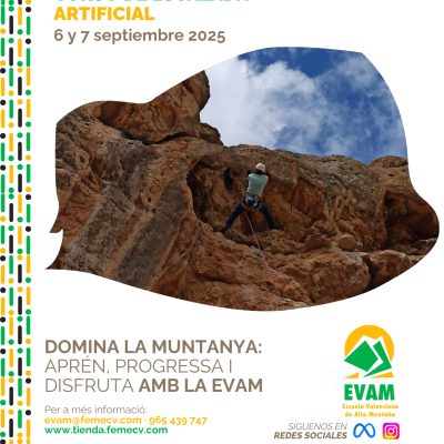 Curso de escalada artificial
