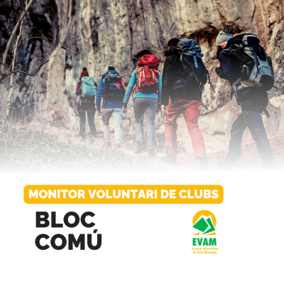 CURSO MONITOR/A VOLUNTARIO/A - BLOQUE COMÚN 