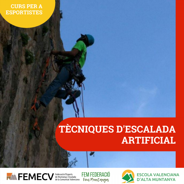 CURSO TÉCNICAS DE ESCALADA ARTIFICIAL 2021